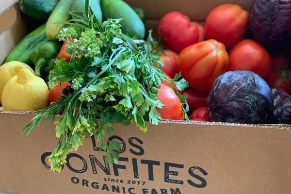 Los Confites , productor de Verduras en la localidad de Jarandilla de la Vera, Cáceres