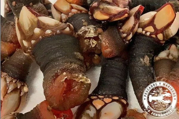 Mariscos P Fernandez , productor de Pescado en la localidad de , 