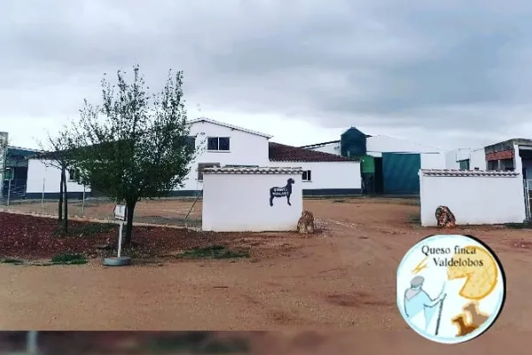 Queso Finca Valdelobos es un productor de Queso en la localidad de Villarrobledo, Albacete