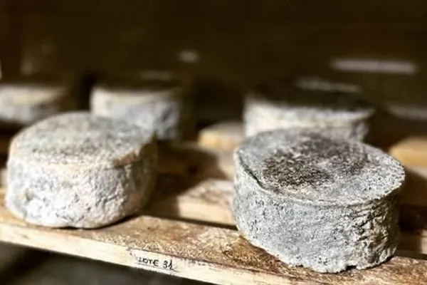 Granja ecologica Aborigen es un productor de Queso en la localidad de Tenerife, Santa Cruz de Tenerife