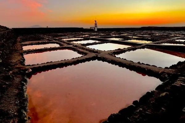 Salinas de Tenefé , productor de Especias en la localidad de , 
